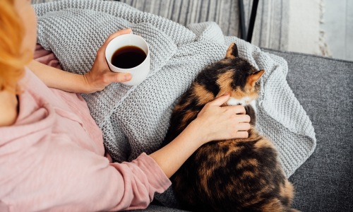 cozy,mental health,couch,domestic,tea,warm up,casual,friend,season,scandi,pet,energy,keep warm,sofa,drinking,hygge,drink,inner peace,warm,comfy,background,comfortable,animal,autumn,adult,mug,cup,woman,concept,weekend,enjoy,winter,enjoy the moment,hot,holi