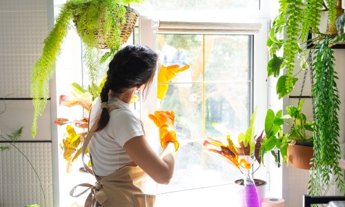 Woman Cleaning Window Surrounded By Plants